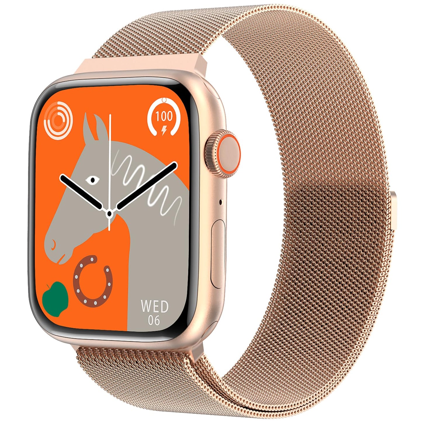 Steel Rose Gold