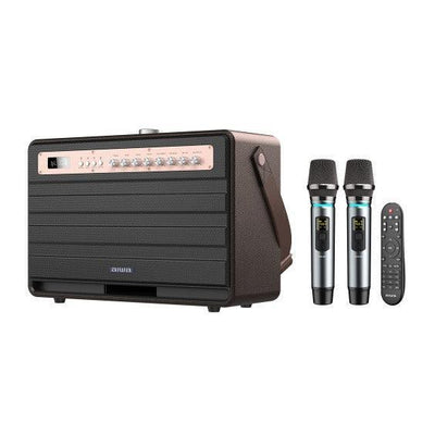 Aiwa Bluetooth Speaker | Long Battery Life | Built-in Microphone | karaoke speaker with 2 wireless microphones | MI-X450 Enigma 450 W Bluetooth Home Audio Speaker (Rose Gold, Black, 2.1 Channel) - Nalanda Enterprises