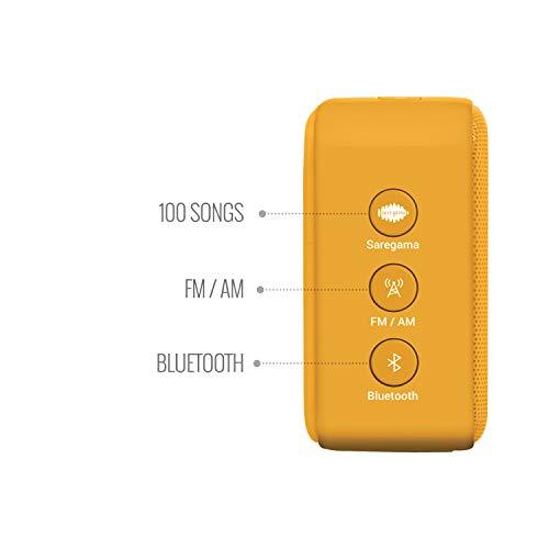 Saregama Carvaan Mini 2.0 Gurbani- Music Player with Bluetooth/FM/AM/AUX (Saffron Orange) - Nalanda Enterprises