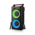 Toreto Party 30 with Karaoke Mic, RGB Light Support USB & SD Card, Aux, 5 Hr Playtime 30 W Bluetooth Party Speake