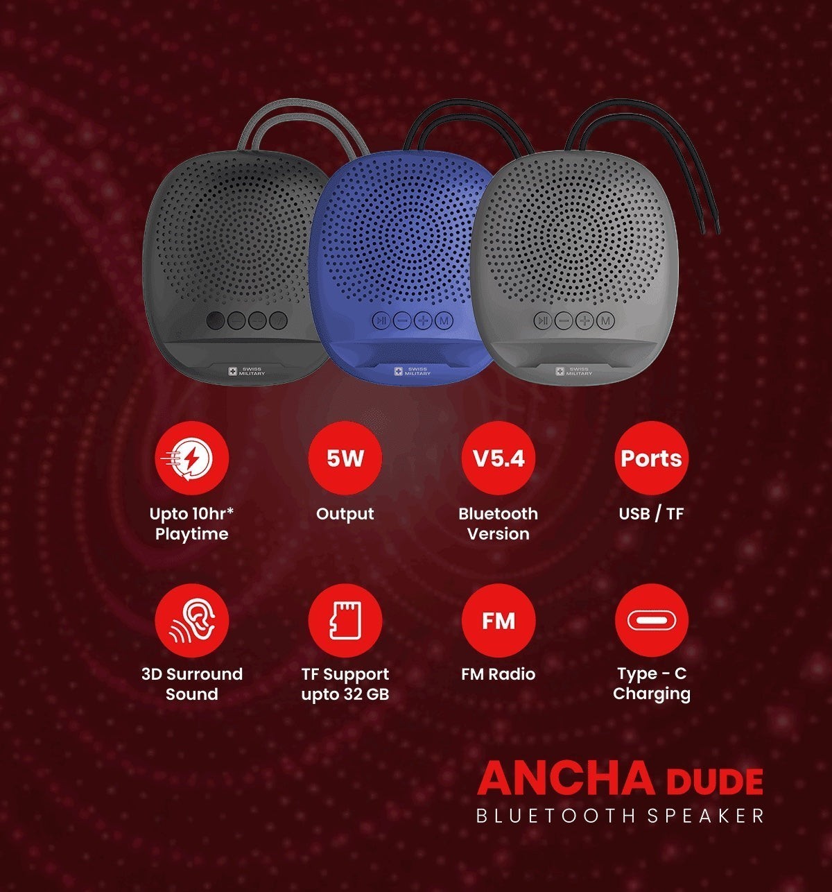 Ancha-dude