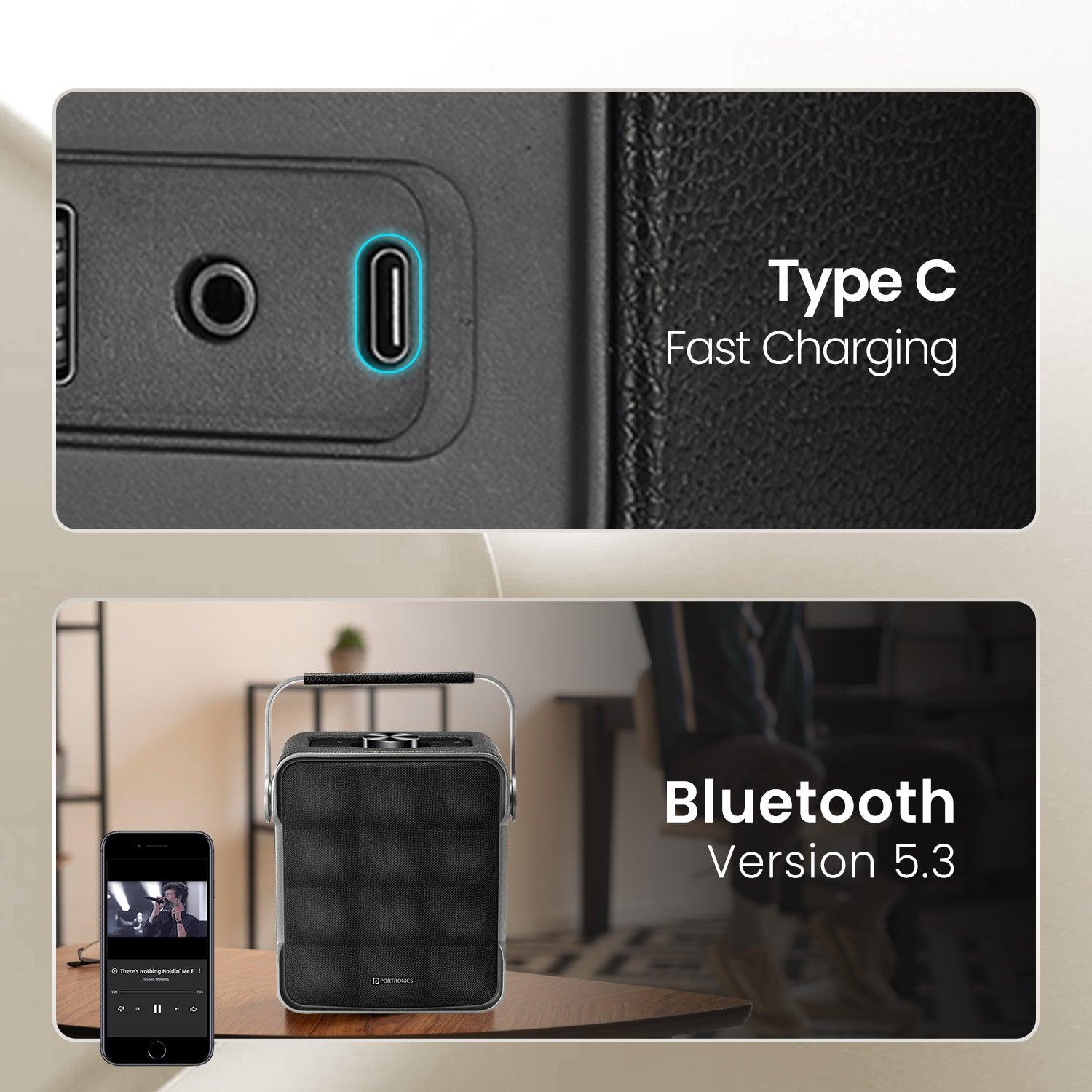Portronics Harmony II 60W HD Sound Portable Bluetooth 5.3V Speaker, Bass Boost Technology, Upto 5 Hours Playtime, Bass/Treble Adjustment, Leather Finish, USB/AUX in, Type C Fast Charging - Nalanda Enterprises