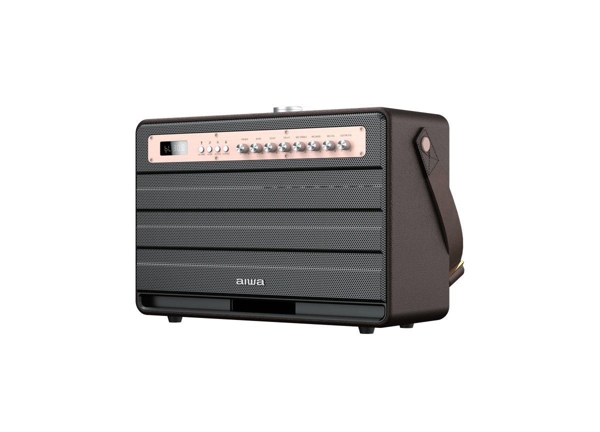 Aiwa Bluetooth Speaker | Long Battery Life | Built-in Microphone | karaoke speaker with 2 wireless microphones | MI-X450 Enigma 450 W Bluetooth Home Audio Speaker (Rose Gold, Black, 2.1 Channel) - Nalanda Enterprises