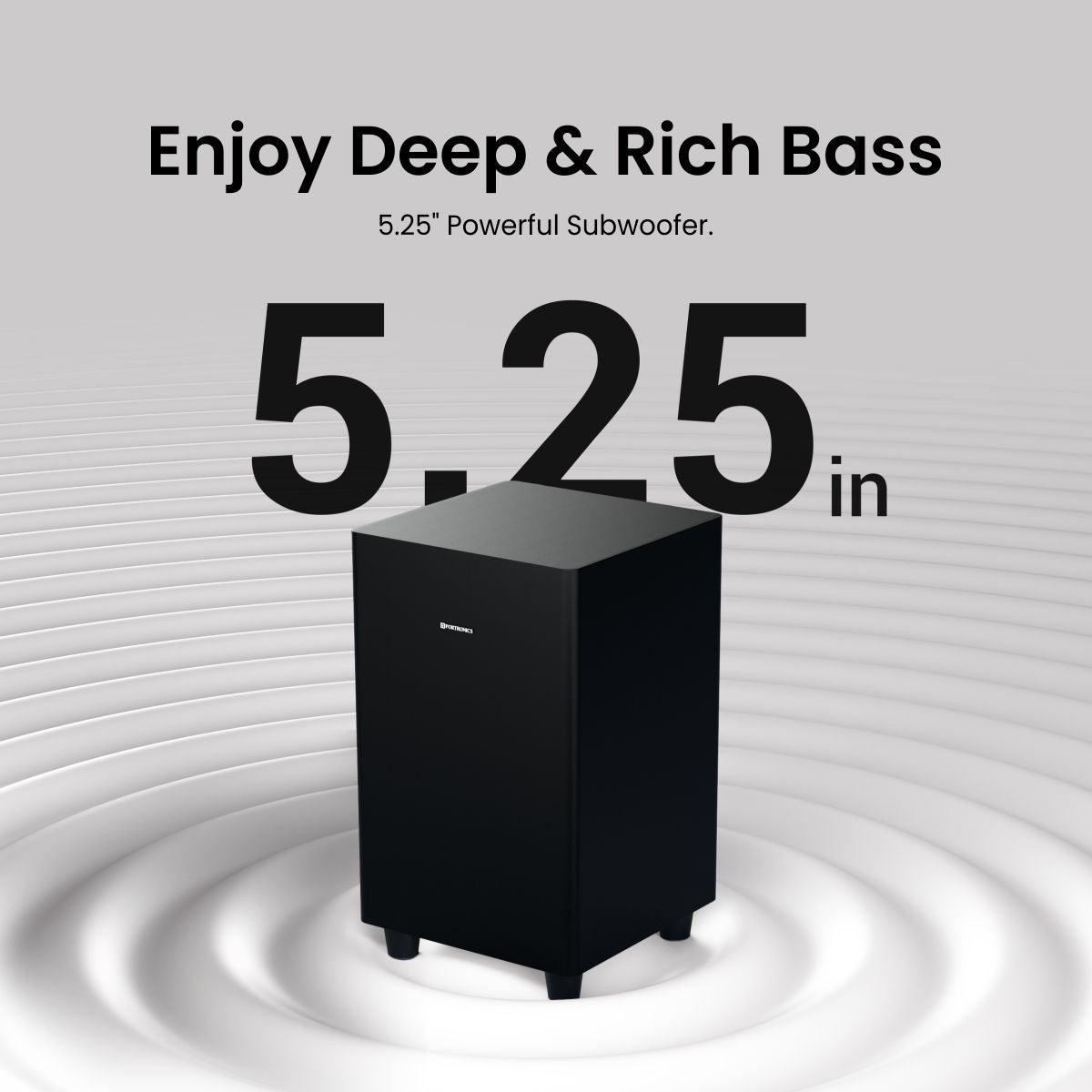 Pure Sound Pro X1 - Nalanda Enterprises